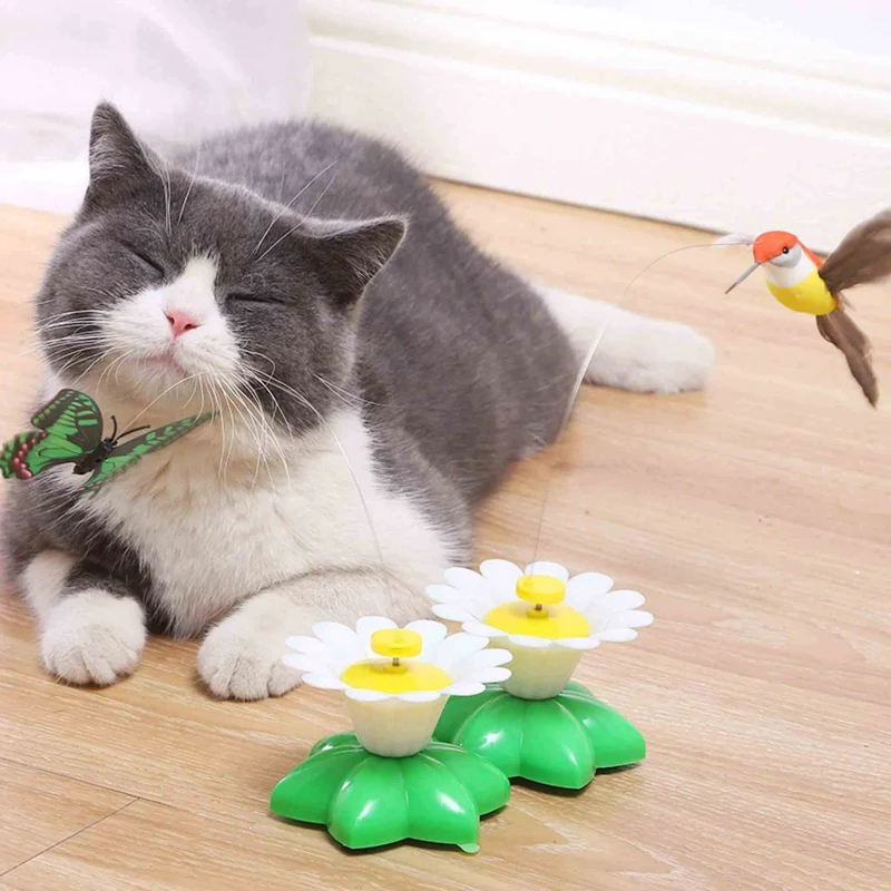 Jouet oiseau pour chat | Ballet d’Oiseau