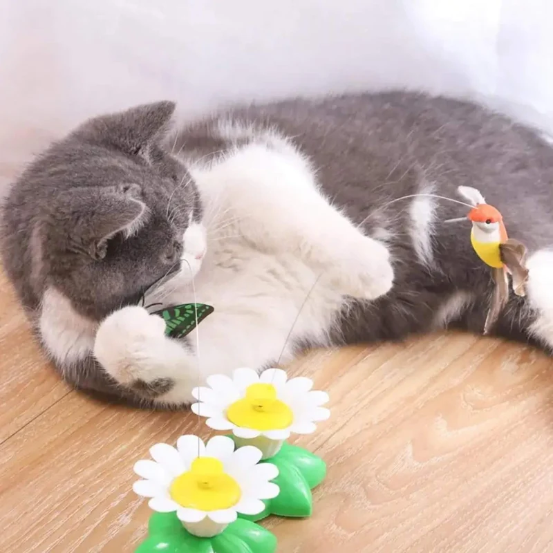 Jouet oiseau pour chat | Ballet d’Oiseau