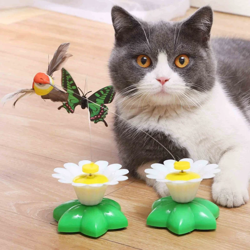 Jouet oiseau pour chat | Ballet d’Oiseau