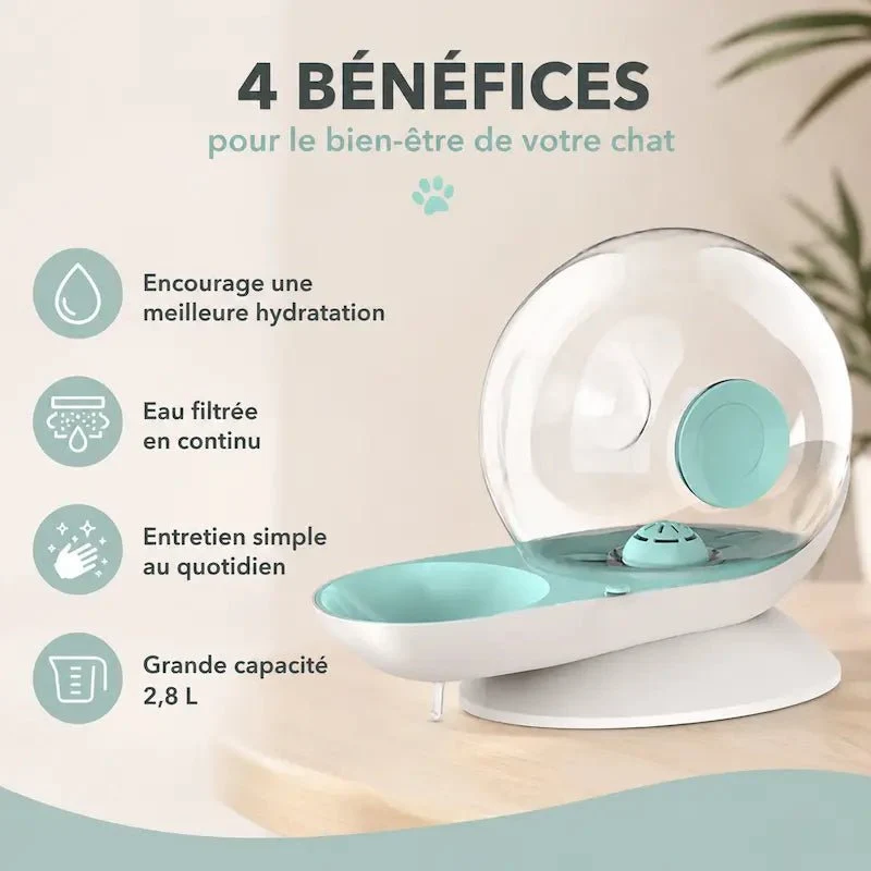Fontaine à eau chat escargot – Design ludique | SnailFlow