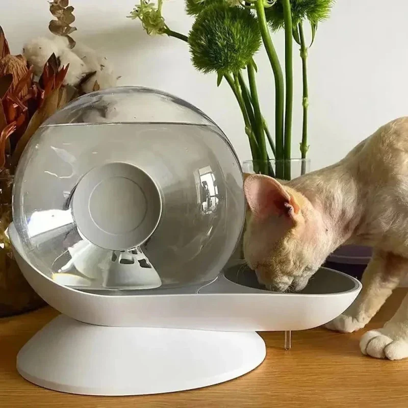 Fontaine à eau chat escargot – Design ludique | SnailFlow