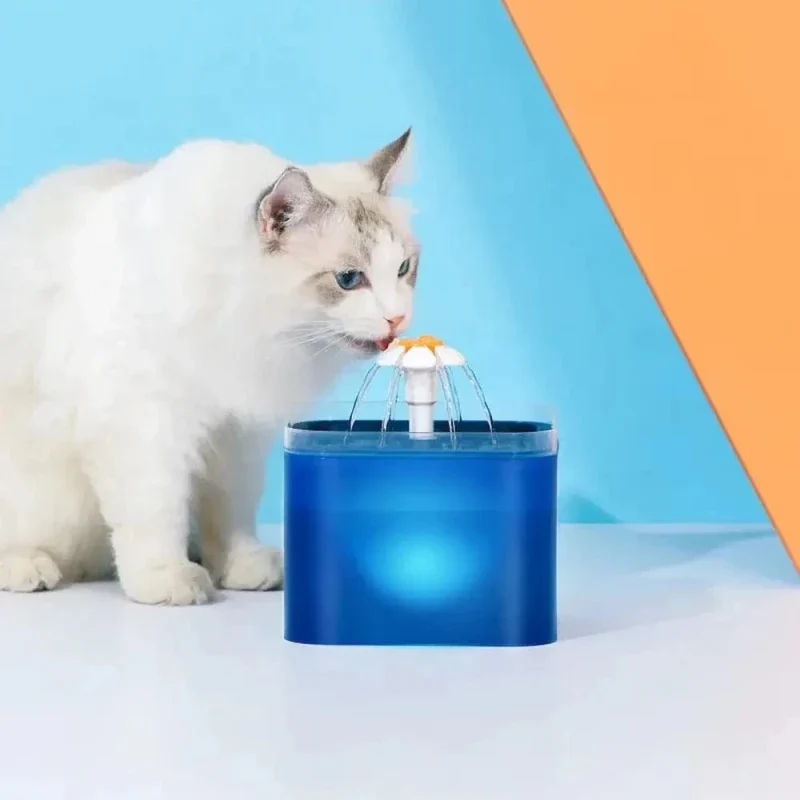 Fontaine à eau chat LED - Eau visible la nuit | GlowFlow