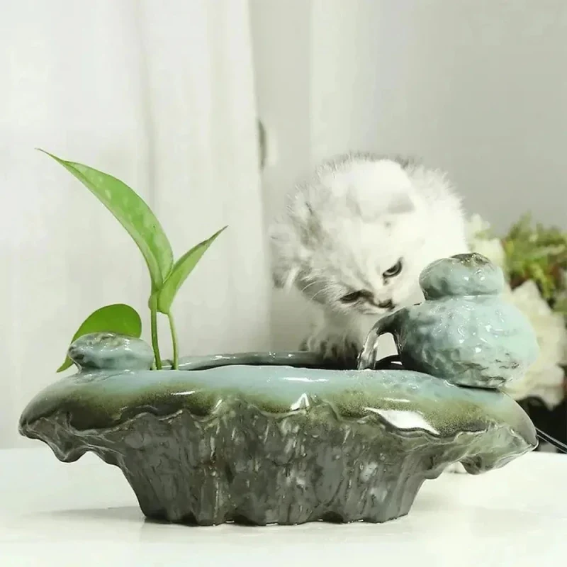 Fontaine à eau chat grenouille - Design ludique | FrogFlow