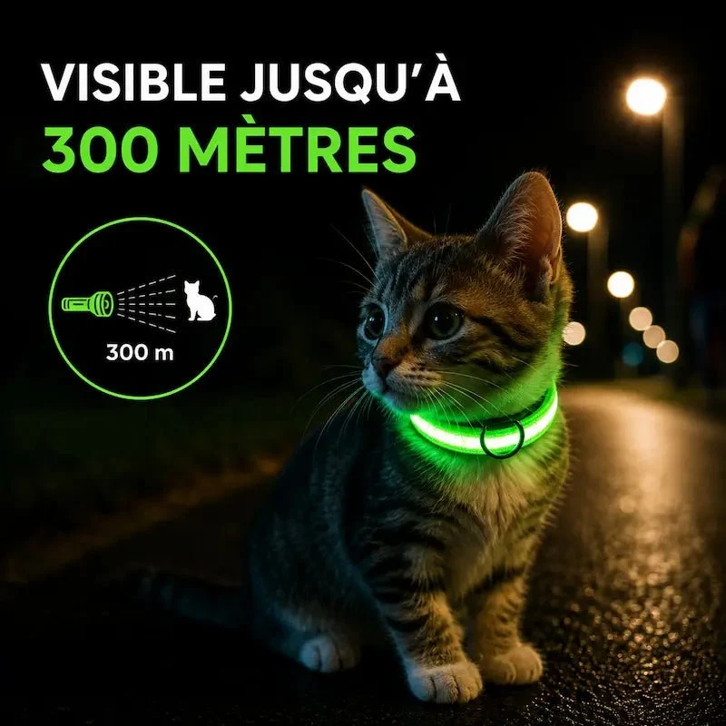 Collier chat lumineux – Visibilité nocturne | GlowCat