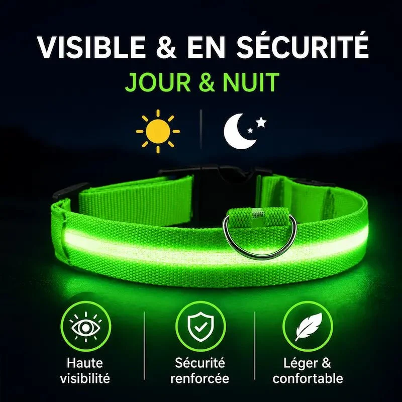 Collier chat lumineux – Visibilité nocturne | GlowCat