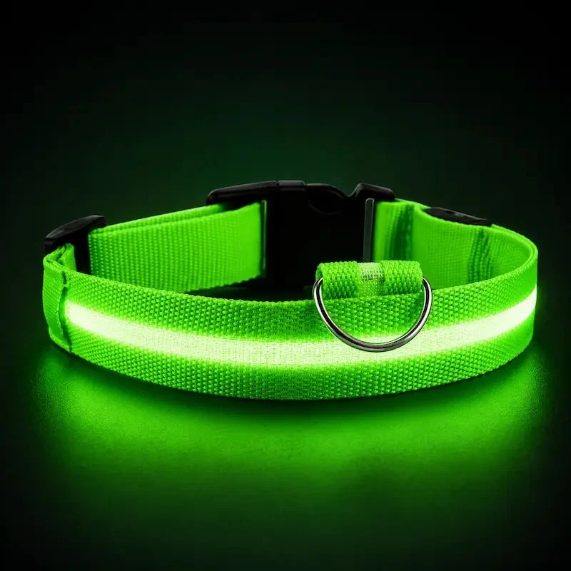 Collier chat lumineux – Visibilité nocturne | GlowCat