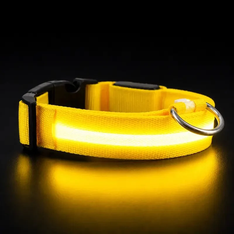 Collier chat lumineux – Visibilité nocturne | GlowCat