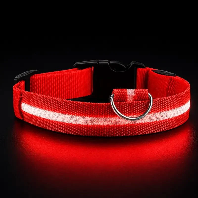 Collier chat lumineux – Visibilité nocturne | GlowCat