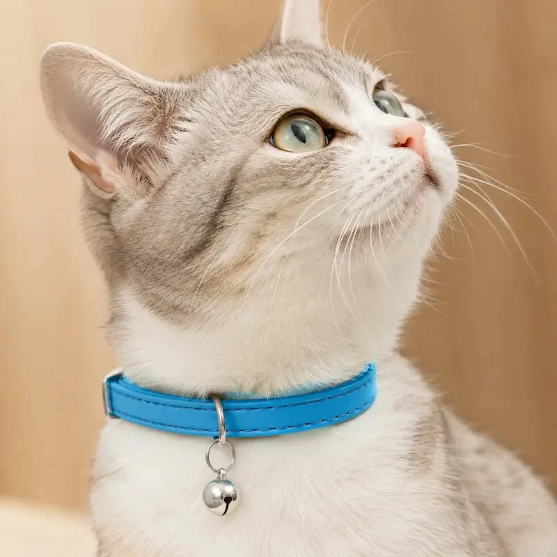 Collier élastique chat – Sécurité flexible | FlexiCat