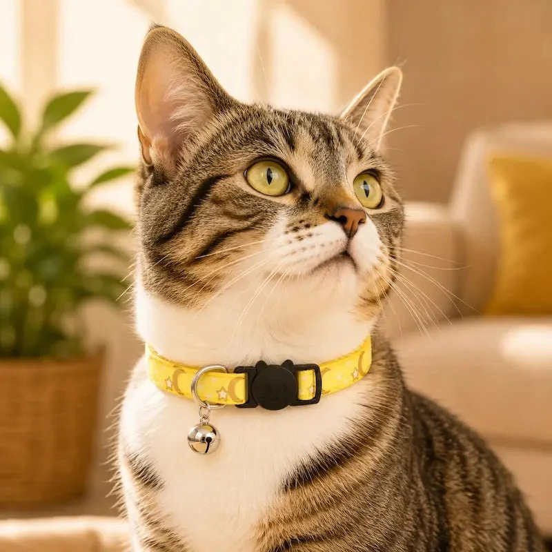 Collier chat anti-étranglement – Libération rapide | BreakAway