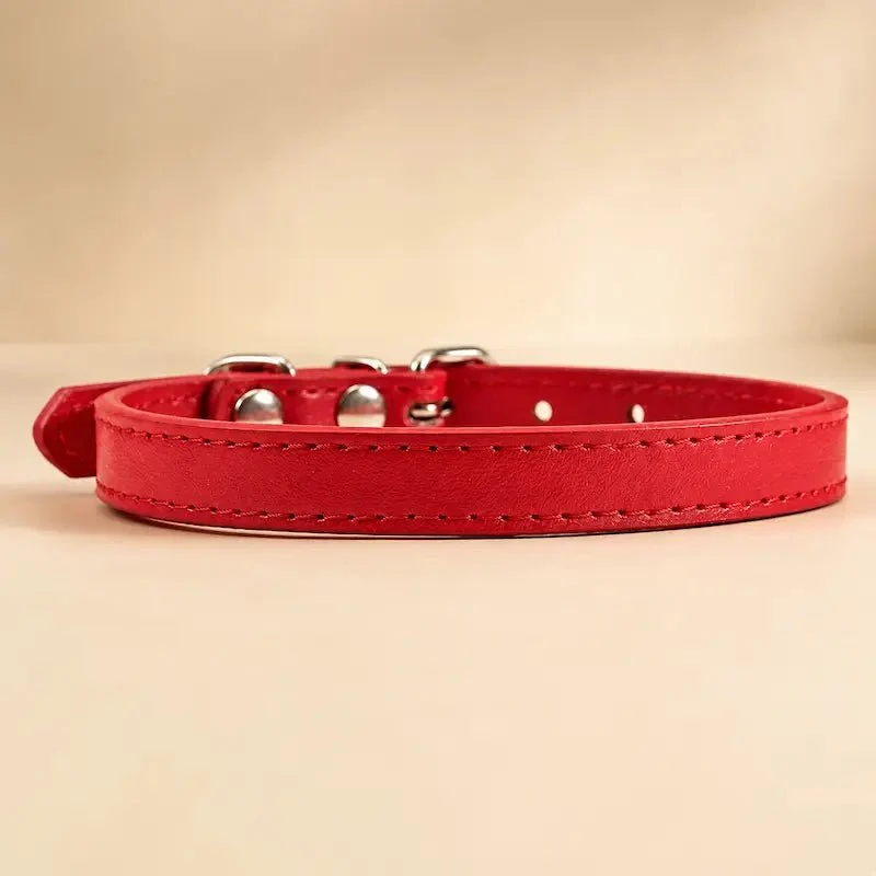 Collier cuir pour chat – Élégance & confort | LeatherCat