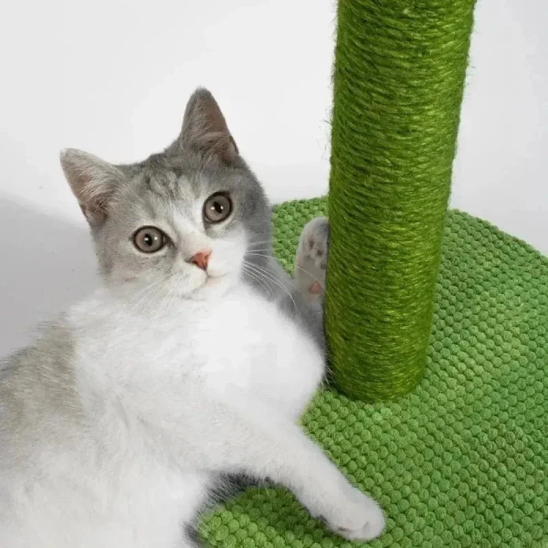 Griffoir chat cactus - Durable et amusant pour chat | FéliCactus