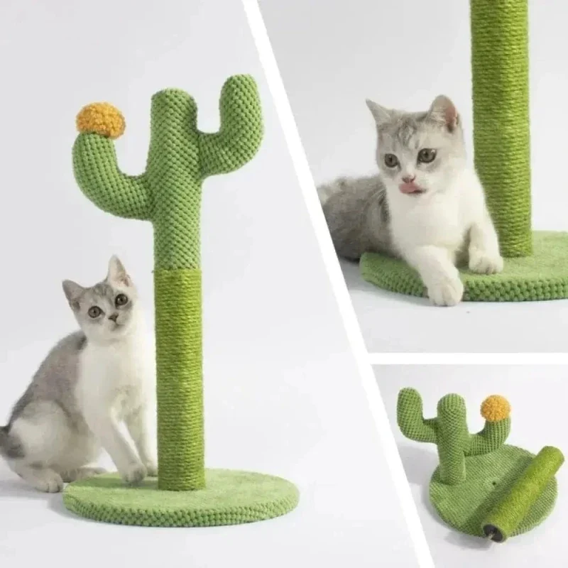 Griffoir chat cactus - Durable et amusant pour chat | FéliCactus