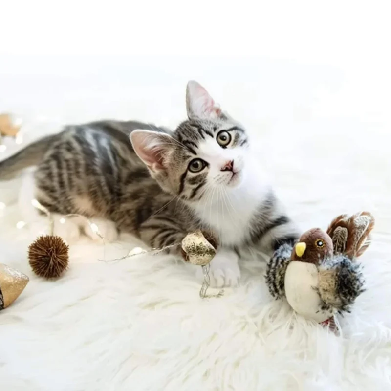 jouet chat interactif | Plume Enchantée