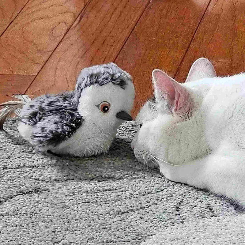 Jouet oiseau pour chat | Ailes Battantes