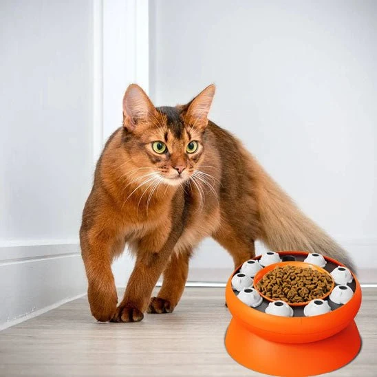 distributeur croquette chat | PUZZLEBOWL