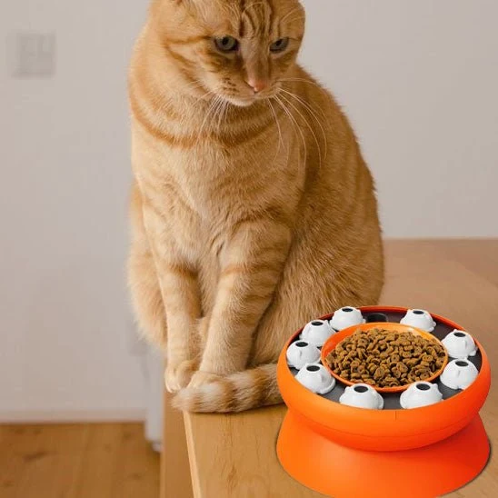 distributeur croquette chat | PUZZLEBOWL