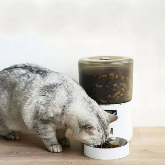 distributeur de croquettes chat automatique