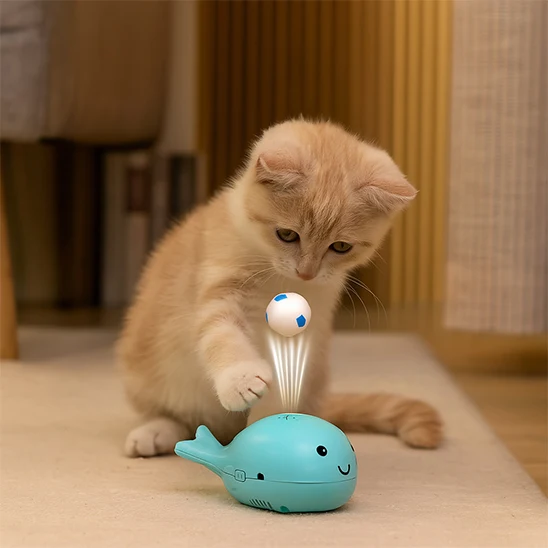 jouet chat interactif | Baleine Balle Flottante