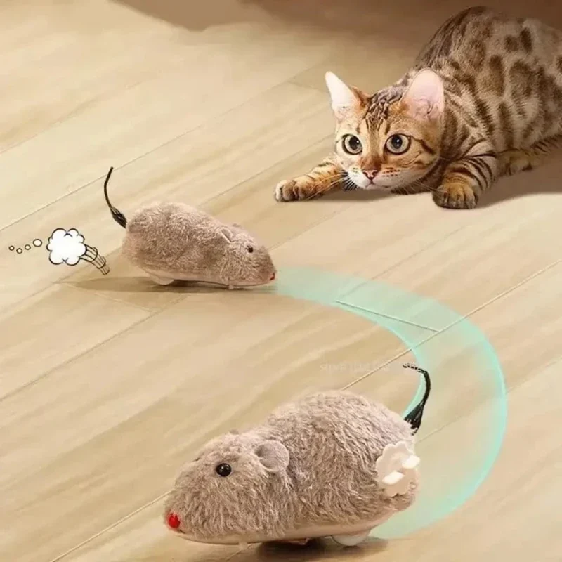 Souris chat interactive - Chasse automatique | FéliMouse