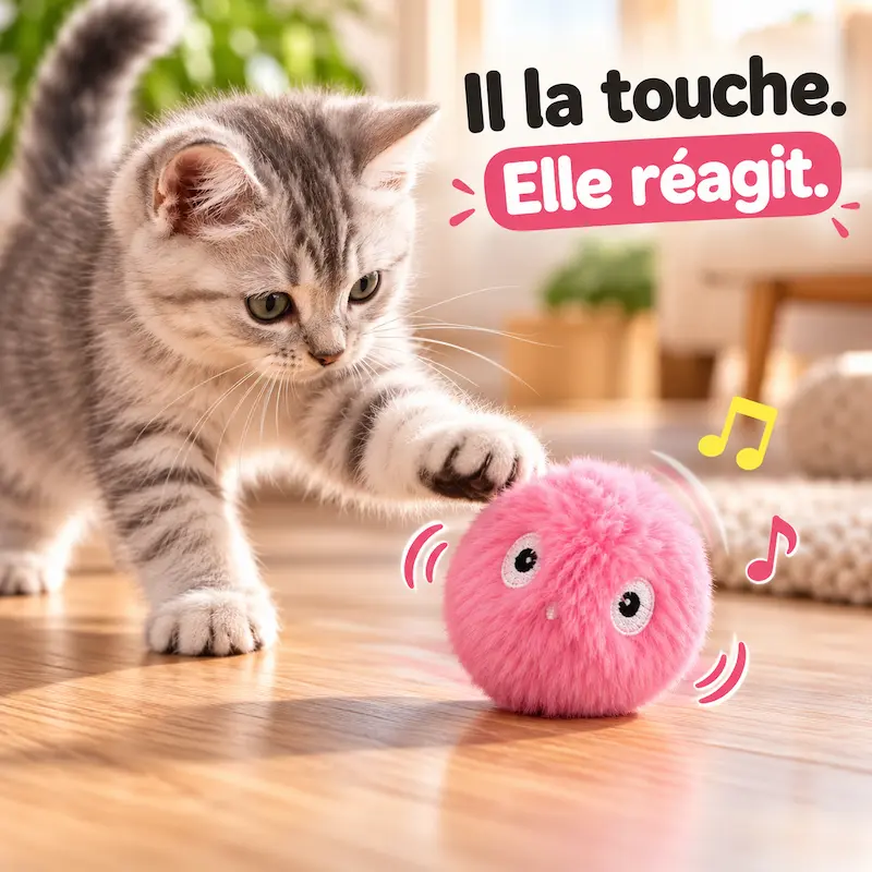 Balle intelligente chat - Anti-ennui automatique | FeliSmart