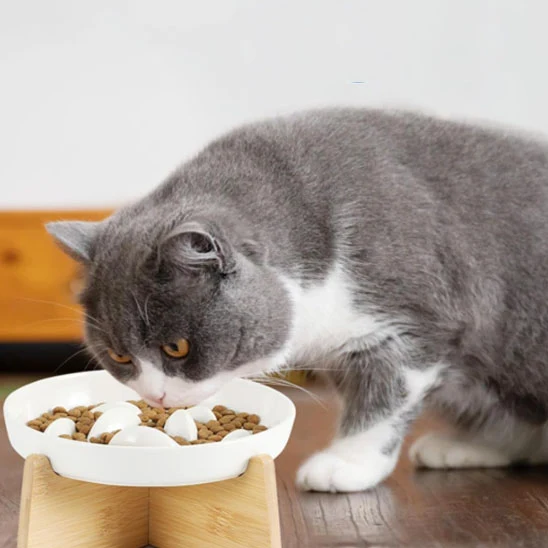 Gamelle anti glouton chat céramique | Anti-vomissement