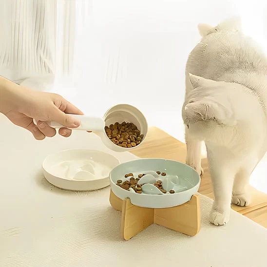 Gamelle anti glouton chat céramique | Anti-vomissement