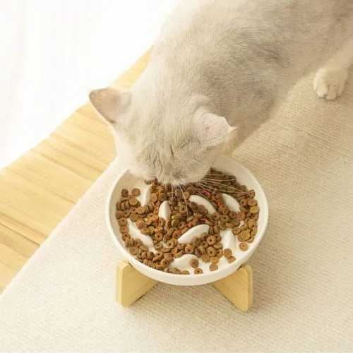 Gamelle anti glouton chat céramique | Anti-vomissement