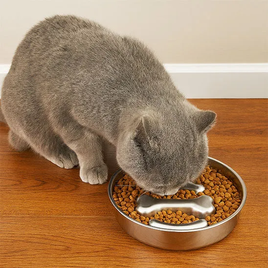 Gamelle anti glouton chat | En acier inoxydable