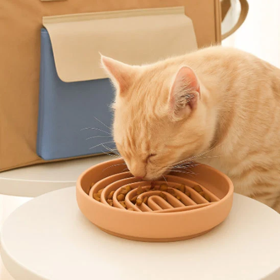 Gamelle anti glouton chat | DigestConfort