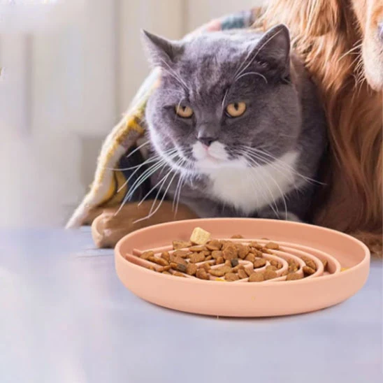 Gamelle anti glouton chat | DigestConfort
