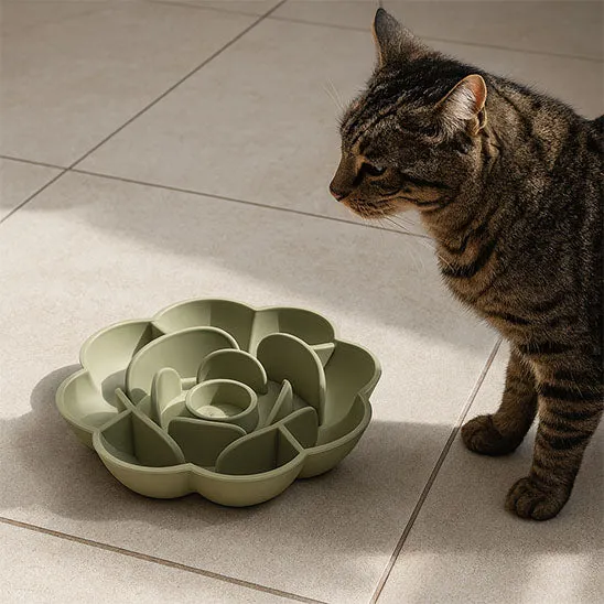 Gamelle anti glouton chat | FloralEat