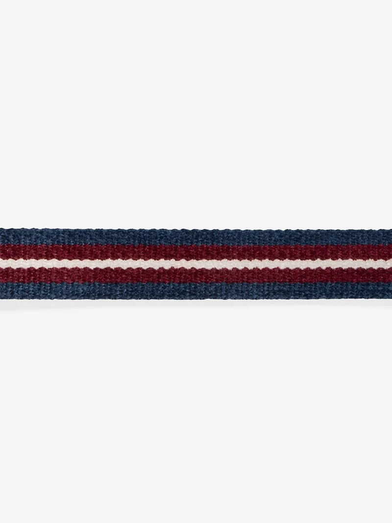 Collier pour chat - Velvet Vibes Dropout - Zee.Dog
