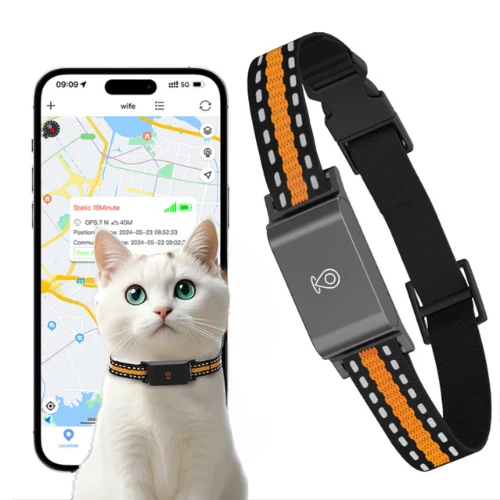 Collier GPS chat sans abonnement