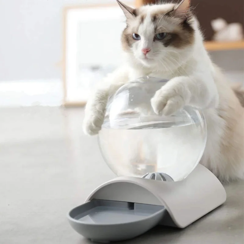 distributeur eau pour chat | ChatOasis