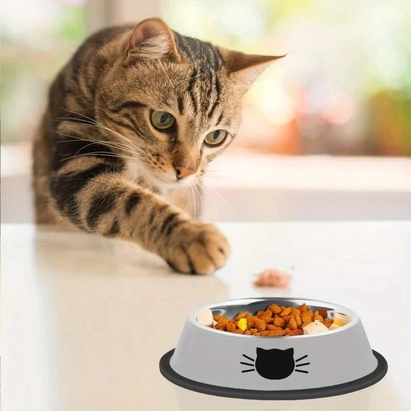 gamelle pour chat | Bol de Ronron