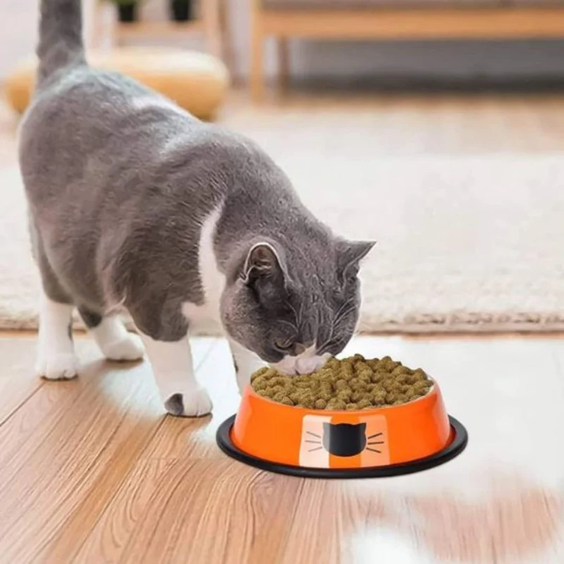 gamelle pour chat | Bol de Ronron