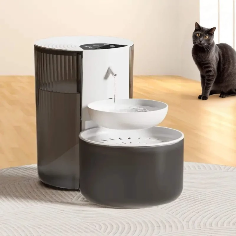 fontaine eau pour chat | MiaouMobile