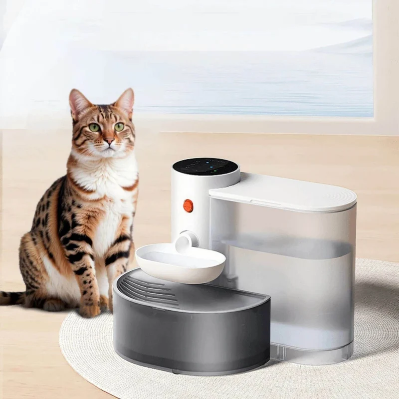 fontaine a eau chat | AquaGourmet