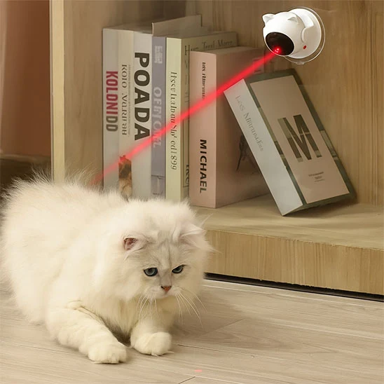 laser pour chat | Chasseur de Lumière