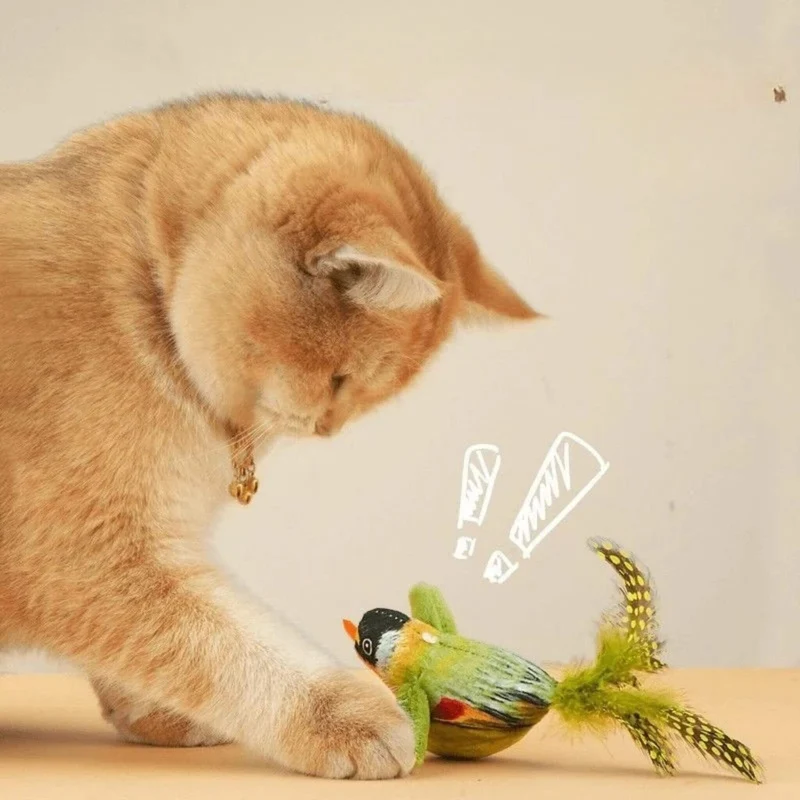 oiseau pour chat | Oiseau Taquin