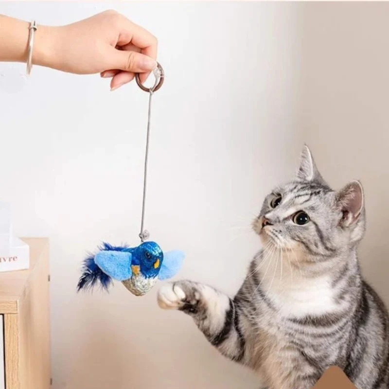 oiseau pour chat | Oiseau Taquin