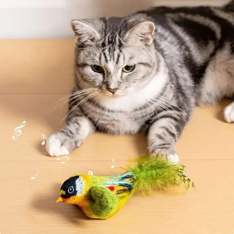 oiseau pour chat | Oiseau Taquin