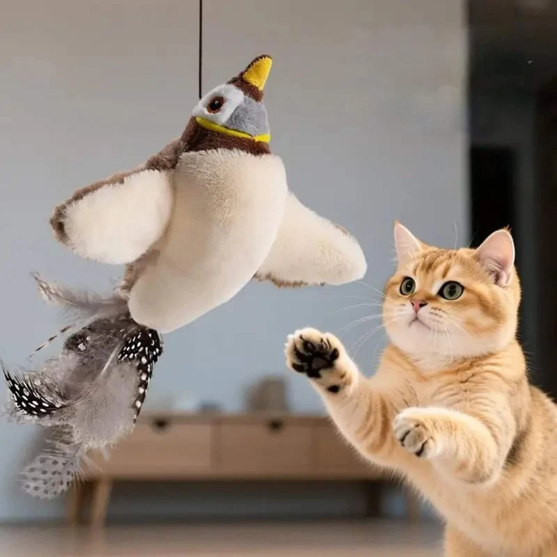 Jouet oiseau pour chat | Aile de plaisir