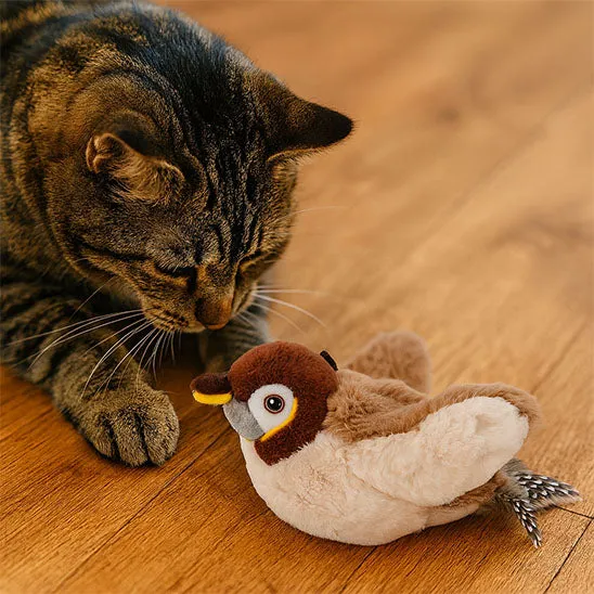 Jouet oiseau pour chat | Aile de plaisir
