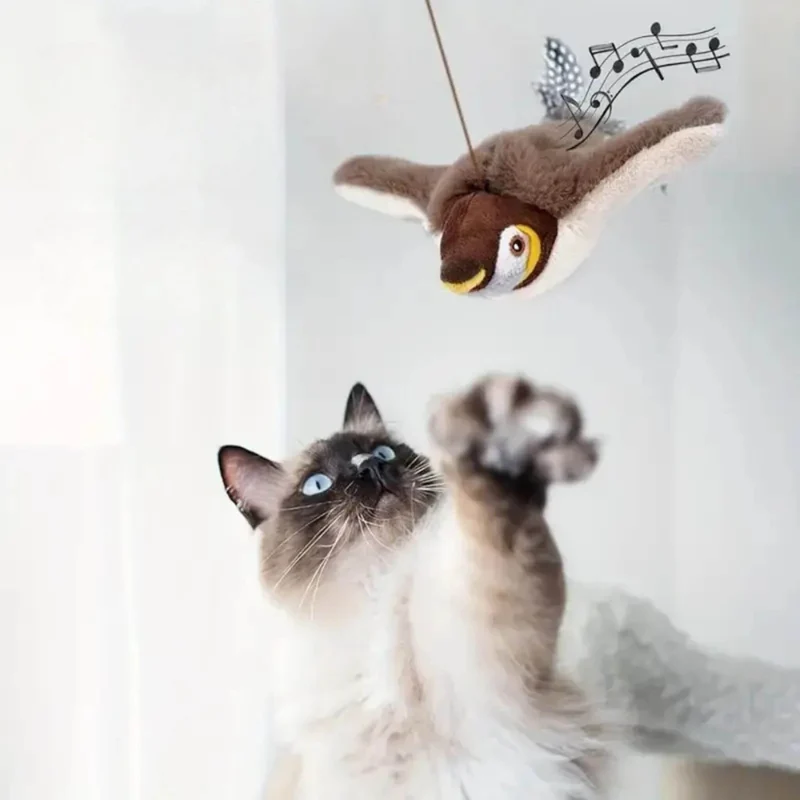 Jouet oiseau pour chat | Aile de plaisir