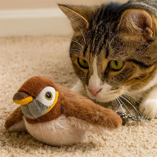 Jouet oiseau pour chat | Aile de plaisir