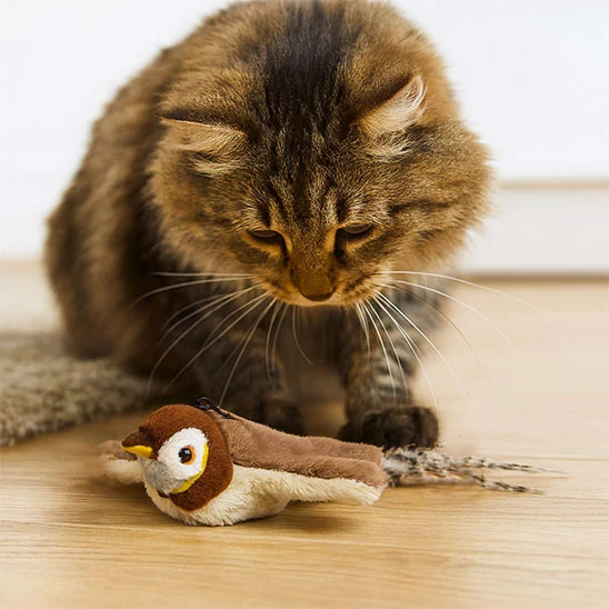 Jouet oiseau pour chat | Aile de plaisir