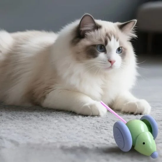 souris pour chat interactive