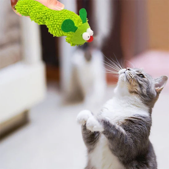 jouet chat | Chenille Herbacée